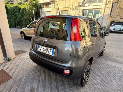 Fiat Panda 1.2 Trussardi (11)