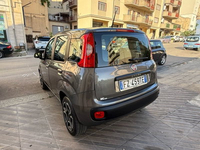 Fiat Panda 1.2 Trussardi (13)