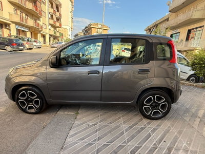 Fiat Panda 1.2 Trussardi (14)