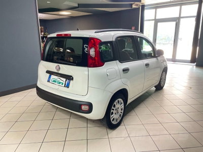 Fiat Panda 1.2 Lounge (4)