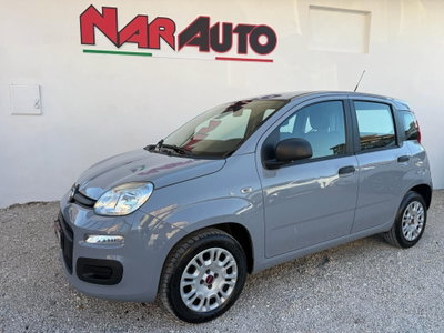 Fiat Panda 1.2 Easy usata