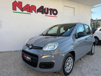 Fiat Panda 1.2 Easy (2)