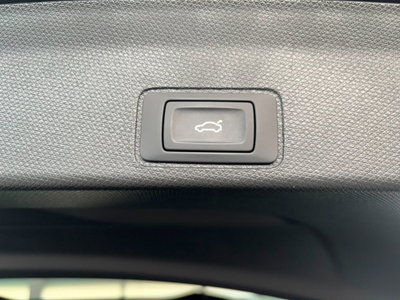 Cupra Terramar 1.5 e-hybrid Impulse 204cv dsg (20)