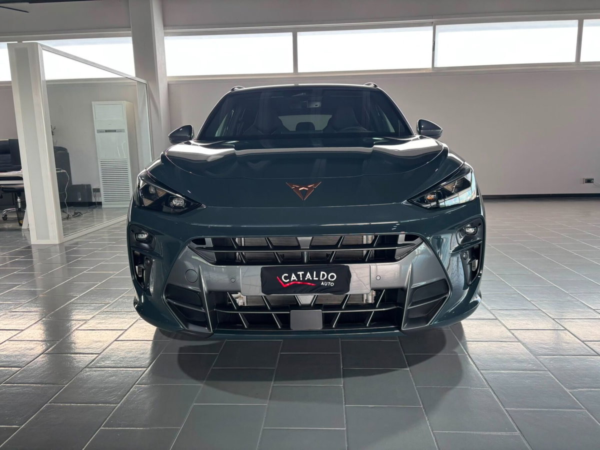 Cupra Terramar 1.5 e-hybrid Impulse 204cv dsg (8)