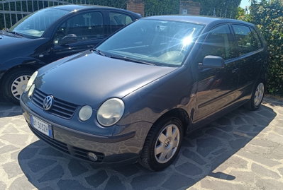 Volkswagen Polo 1.4 TDI 5p. Comfortline (9)