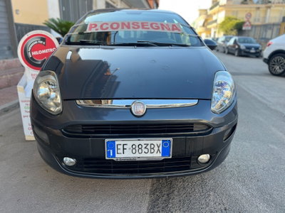Fiat Punto Evo 1.4 5 porte Dynamic Natural Power (5)