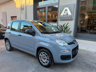 Fiat Panda 1.2 Easy usata