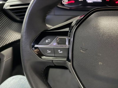 Peugeot 2008 PureTech 100 S&S Active (14)