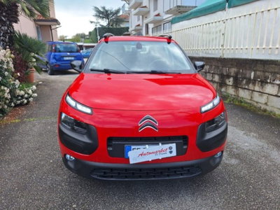 Citroen C4 Cactus BlueHDi 100 Shine (2)