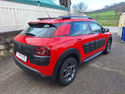 Citroen C4 Cactus BlueHDi 100 Shine (4)