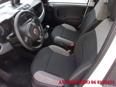 Fiat Panda 1.0 firefly hybrid s&s 70cv 5p.ti (15)