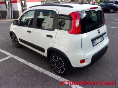 Fiat Panda 1.0 firefly hybrid s&s 70cv 5p.ti (7)