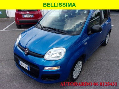 Fiat Panda 1.0 firefly hybrid s&s 70cv 5p.ti (2)
