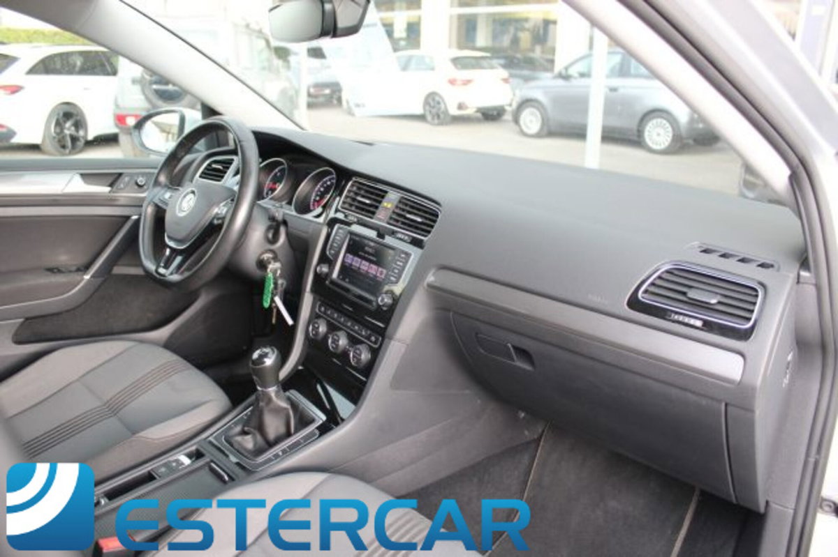 Volkswagen Golf 1.6 TDI 115 CV 5p. Highline BlueMotion Technology (10)
