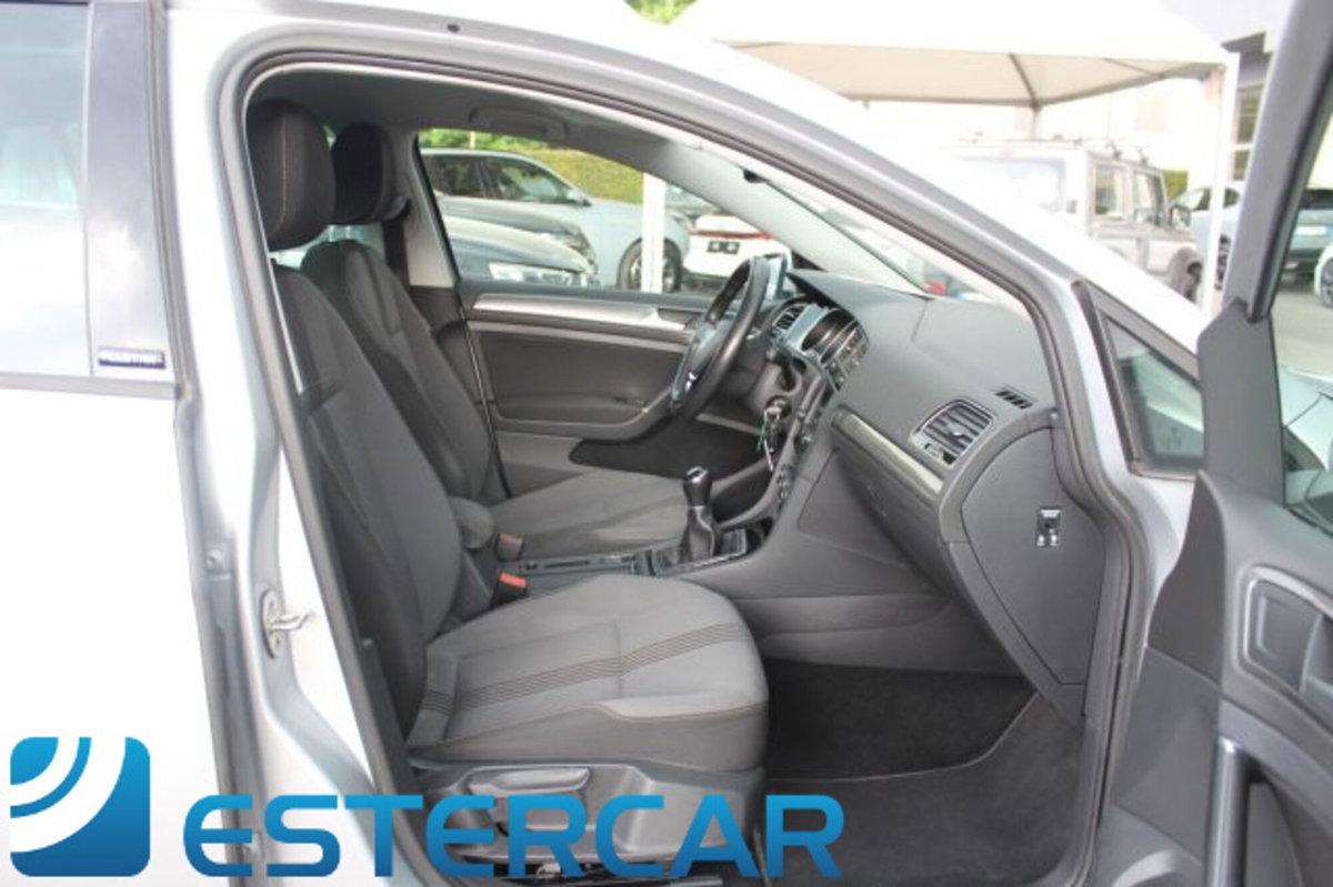 Volkswagen Golf 1.6 TDI 115 CV 5p. Highline BlueMotion Technology (13)