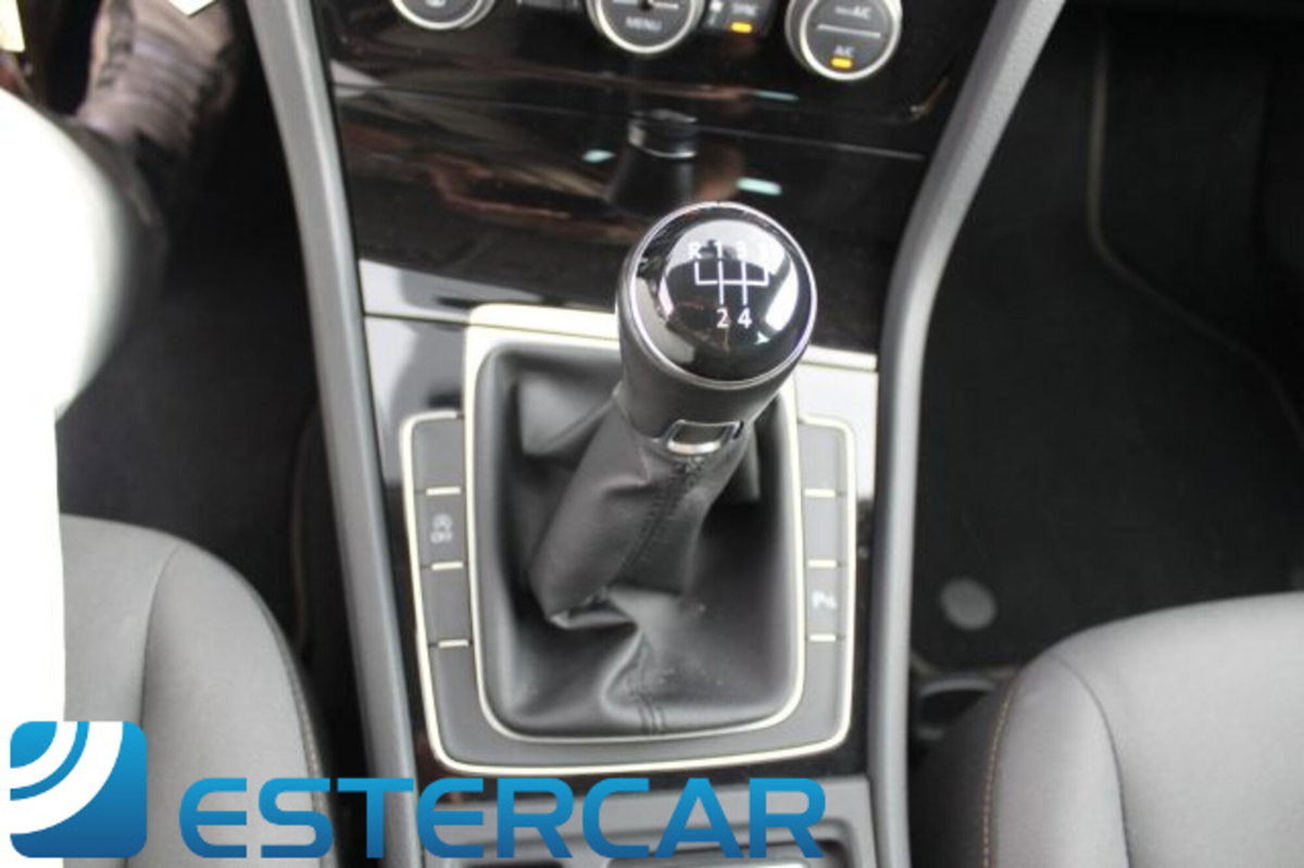 Volkswagen Golf 1.6 TDI 115 CV 5p. Highline BlueMotion Technology (6)