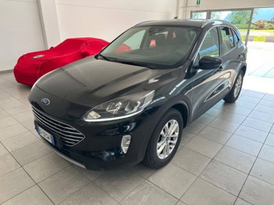 Ford Kuga 1.5 EcoBlue 120 CV 2WD Titanium usata