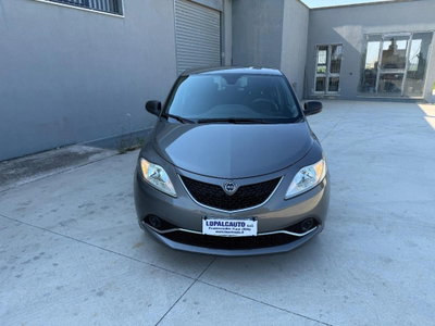 Lancia Ypsilon 1.2 69 CV 5 porte Elefantino (2)