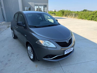 Lancia Ypsilon 1.2 69 CV 5 porte Elefantino (3)