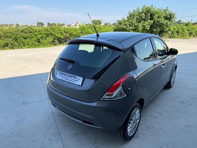 Lancia Ypsilon 1.2 69 CV 5 porte Elefantino (5)