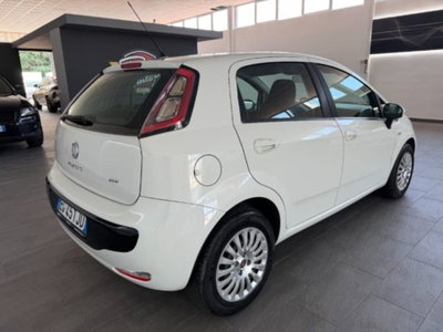 Fiat Punto Evo 1.4 5 porte S&S Dynamic (5)