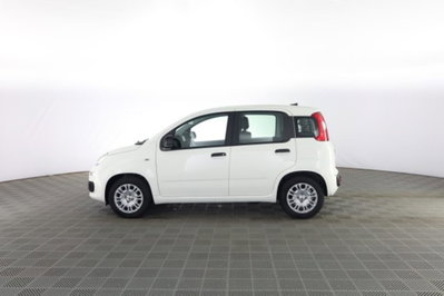 Fiat Panda 1.0 firefly hybrid Icon s&s 70cv (7)