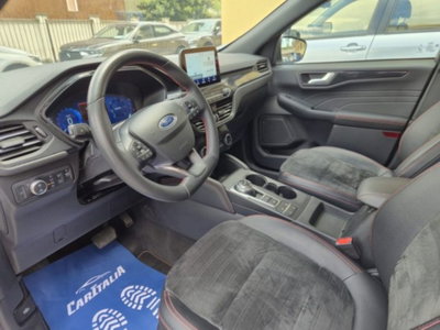Ford Kuga 1.5 EcoBlue 120 CV aut. 2WD ST-Line X Design (10)