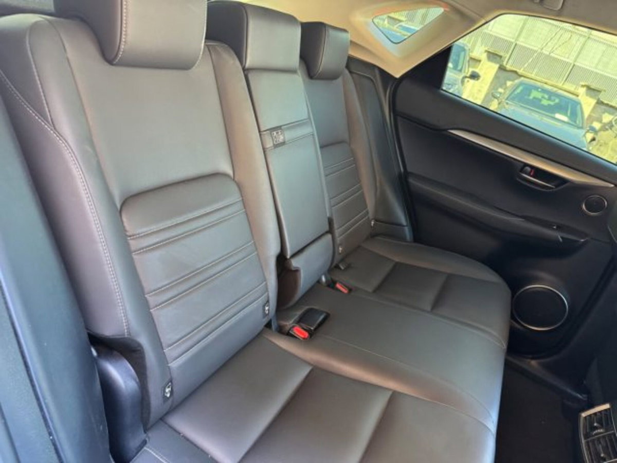 Lexus NX Hybrid 4WD F-Sport (10)