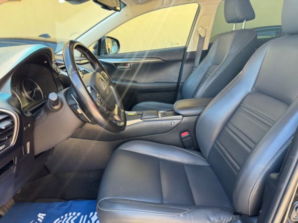 Lexus NX Hybrid 4WD F-Sport (13)