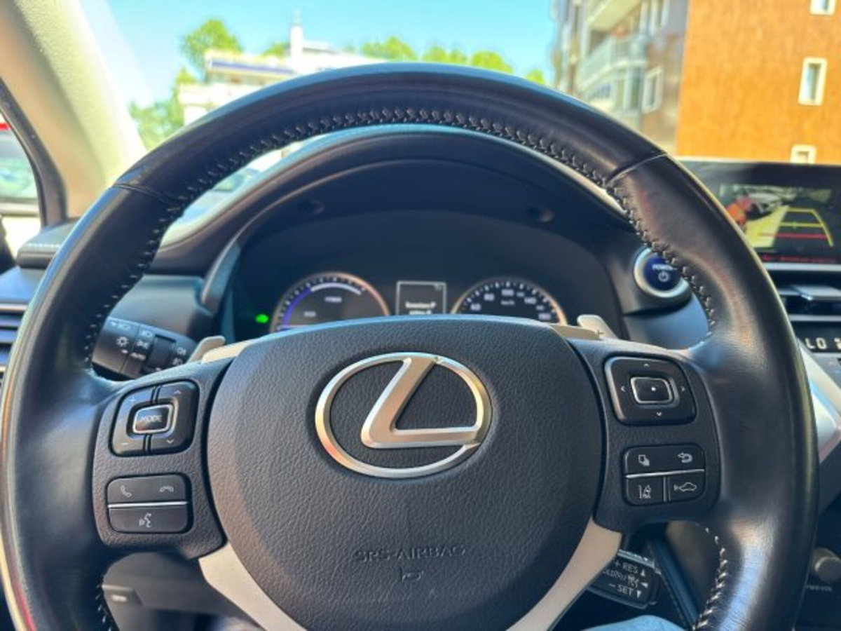 Lexus NX Hybrid 4WD F-Sport (14)
