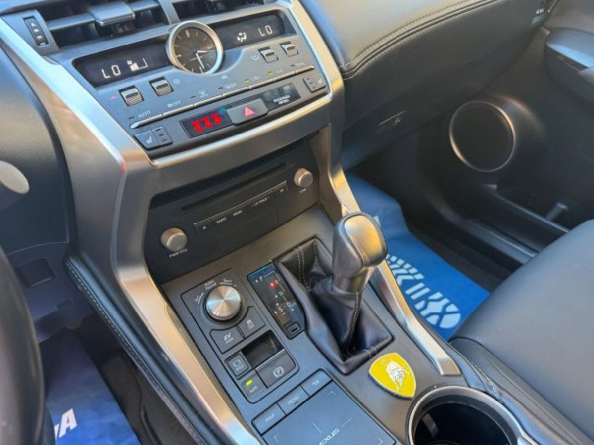 Lexus NX Hybrid 4WD F-Sport (15)