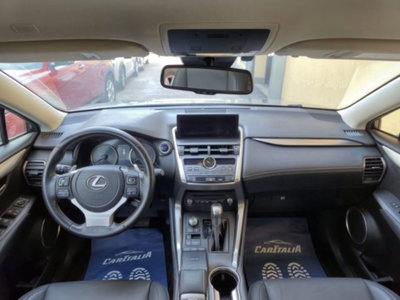 Lexus NX Hybrid 4WD Premium (11)