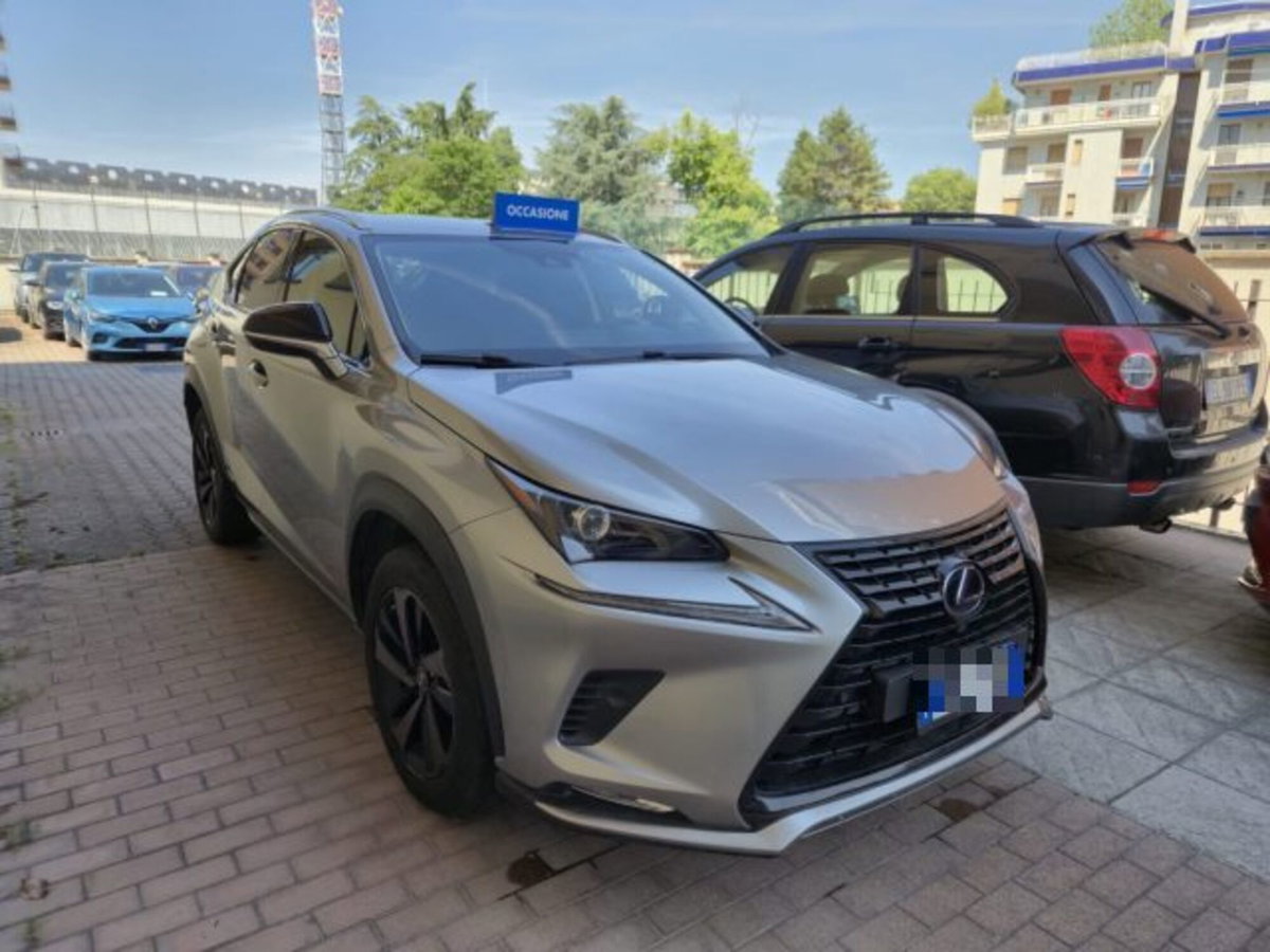 Lexus NX Hybrid 4WD Premium (3)