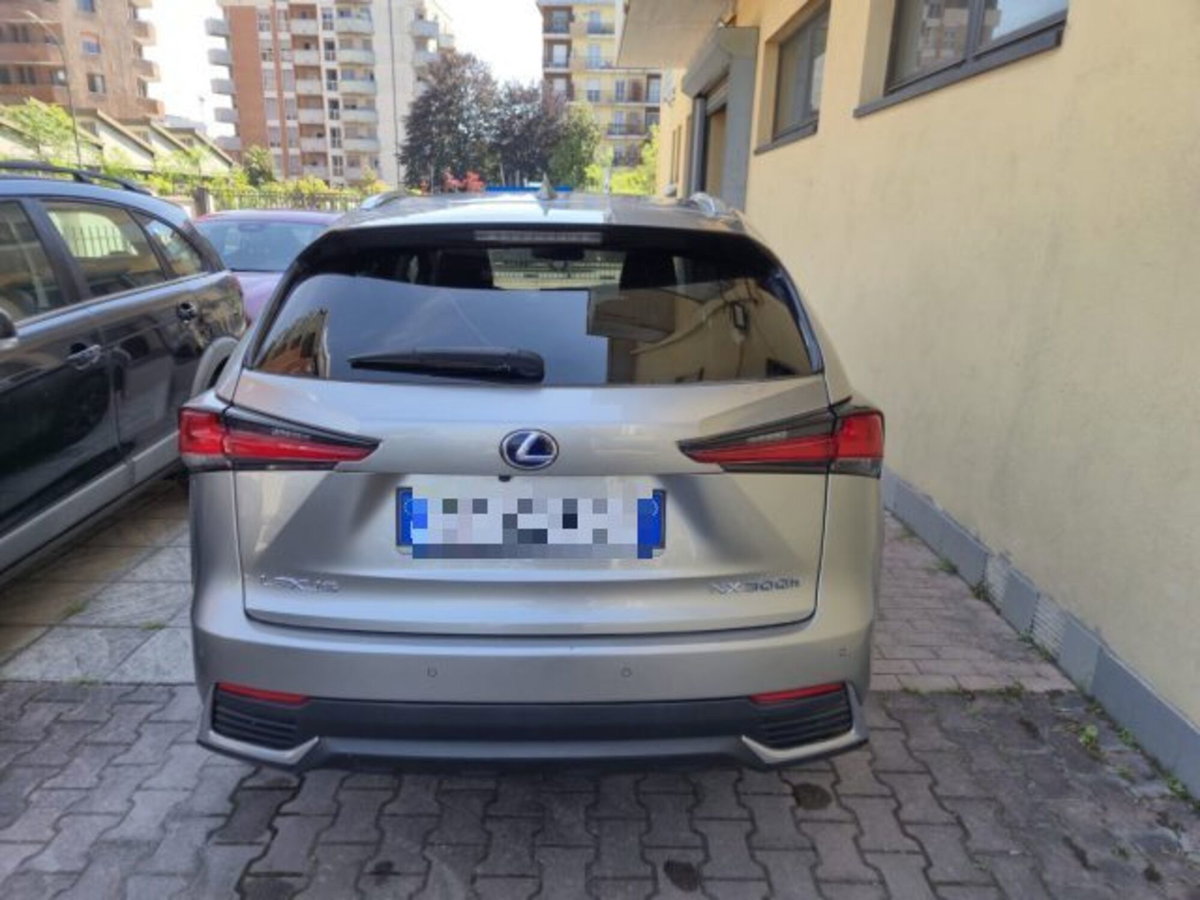 Lexus NX Hybrid 4WD Premium (5)