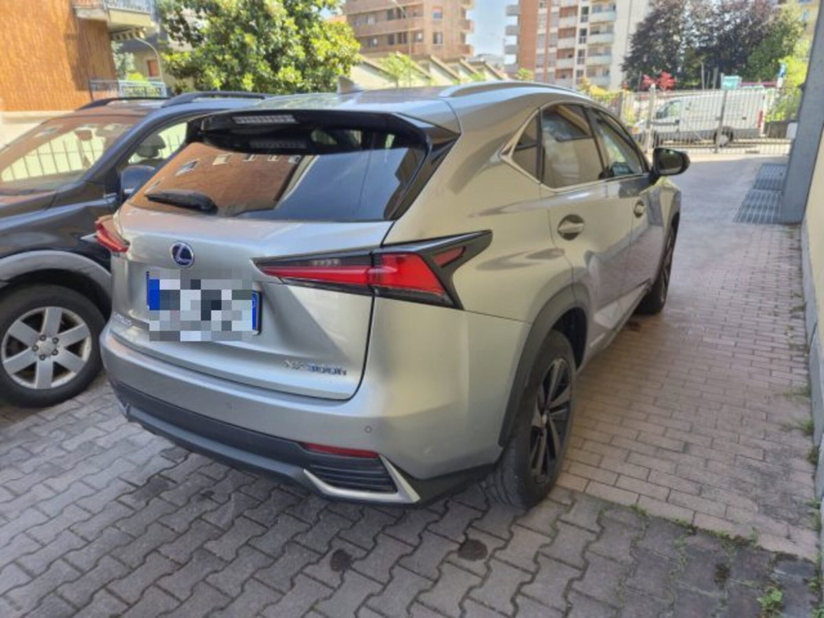 Lexus NX Hybrid 4WD Premium (6)
