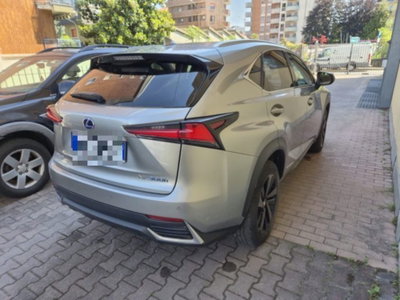 Lexus NX Hybrid 4WD Premium (6)