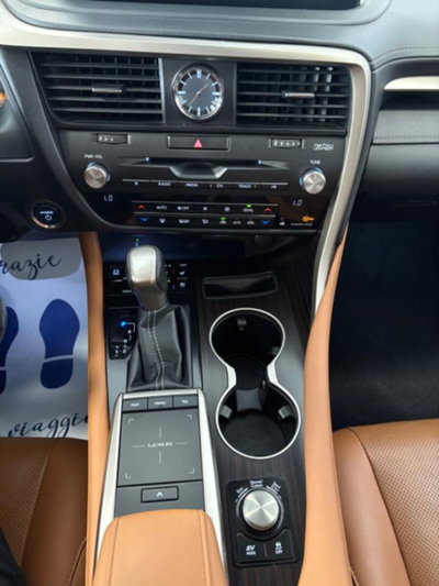 Lexus RX Hybrid Luxury (11)