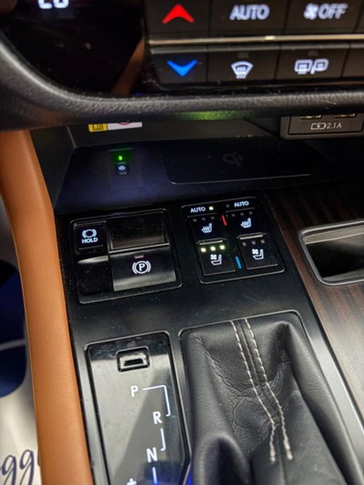 Lexus RX Hybrid Luxury (13)