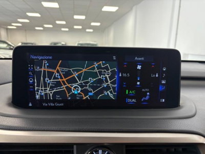 Lexus RX Hybrid Luxury (14)