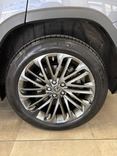 Lexus RX Hybrid Luxury (16)