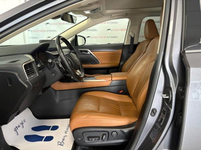 Lexus RX Hybrid Luxury (18)
