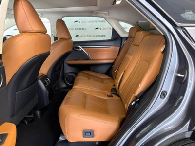 Lexus RX Hybrid Luxury (19)