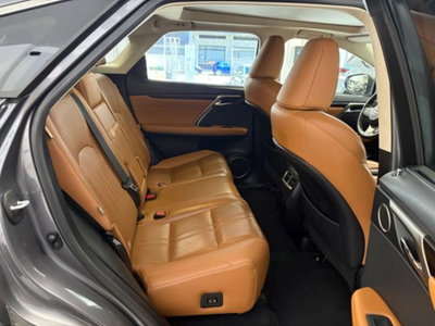 Lexus RX Hybrid Luxury (20)