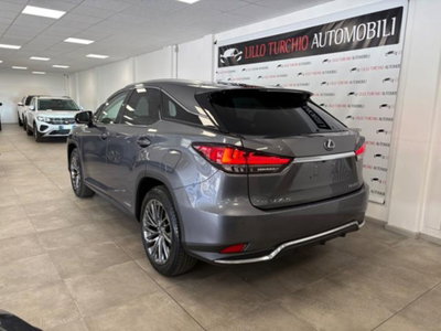 Lexus RX Hybrid Luxury (4)