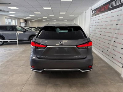 Lexus RX Hybrid Luxury (5)