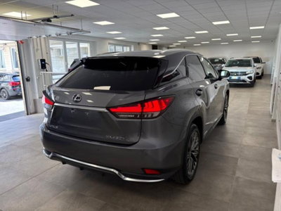 Lexus RX Hybrid Luxury (6)