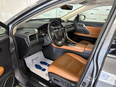Lexus RX Hybrid Luxury (7)