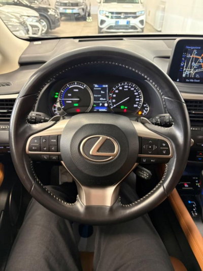 Lexus RX Hybrid Luxury (8)