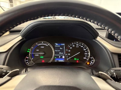 Lexus RX Hybrid Luxury (9)