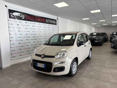 Fiat Panda 1.2 Easy usata
